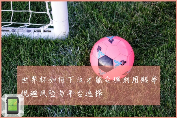 世界杯如何下注才能合理利用赔率规避风险与平台选择